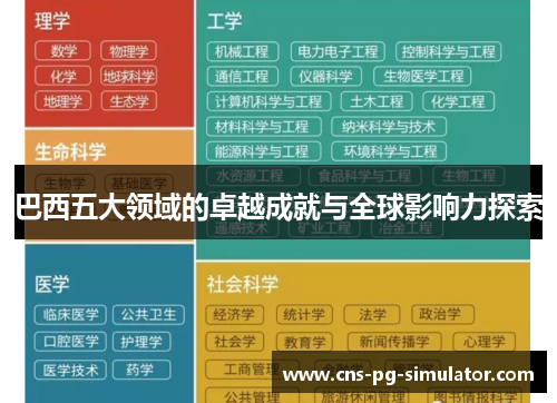 巴西五大领域的卓越成就与全球影响力探索