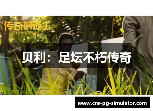 贝利:足坛不朽传奇 贝利:足坛不朽传奇