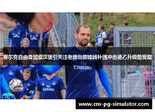 塞尔克自由身加盟汉堡引关注老牌劲旅锋线补强冲击德乙升级前受期 塞尔克自由身加盟汉堡引关注老牌劲旅锋线补强冲击德乙升级前受期